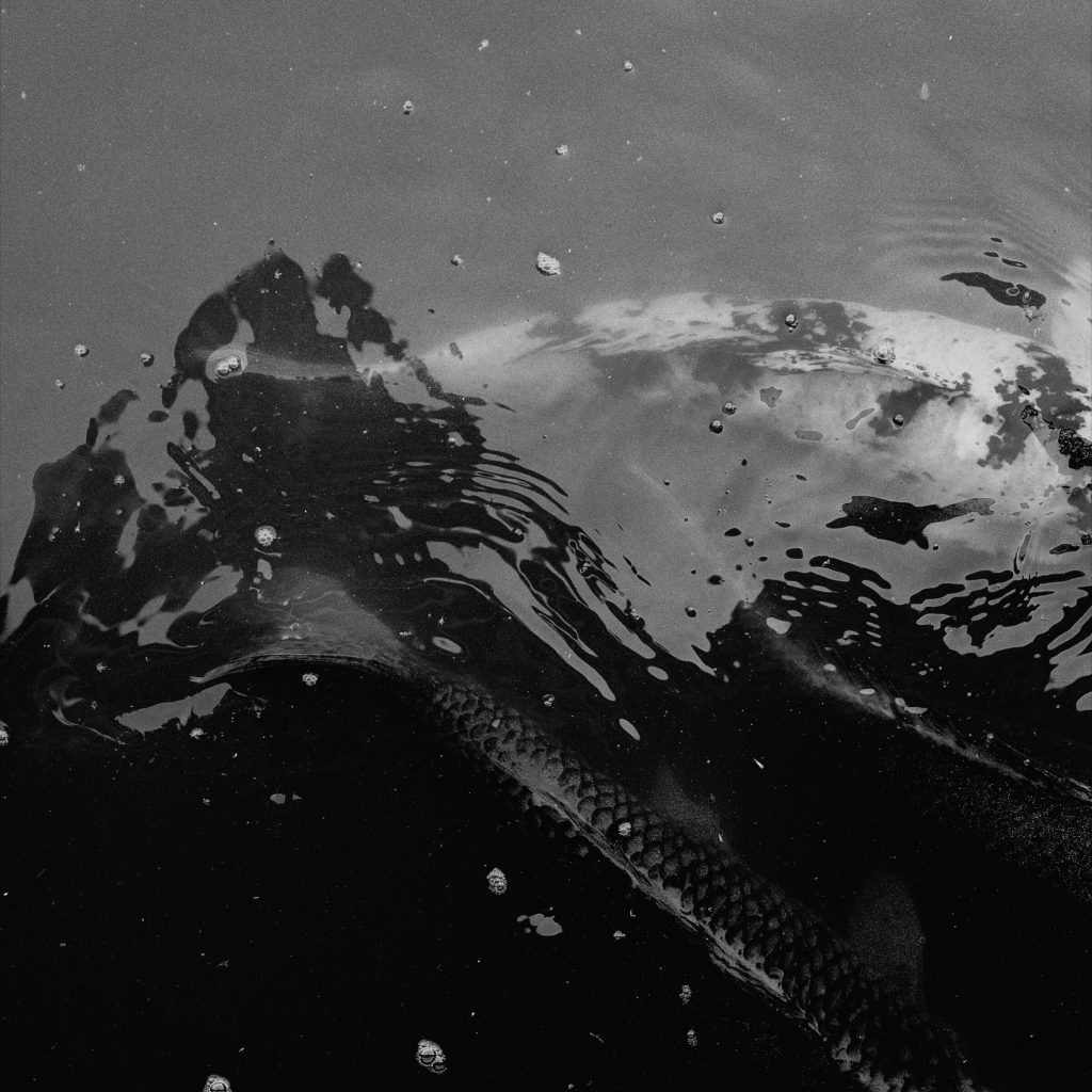 Photograph by Philip Glenn