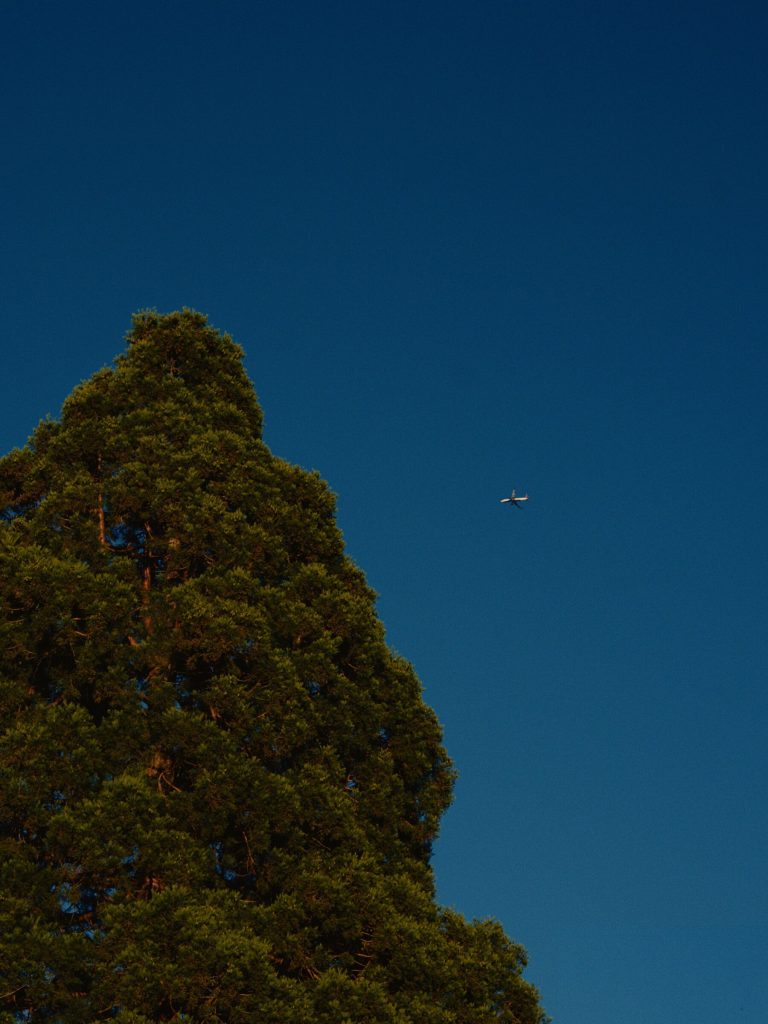Photograph by Philip Glenn